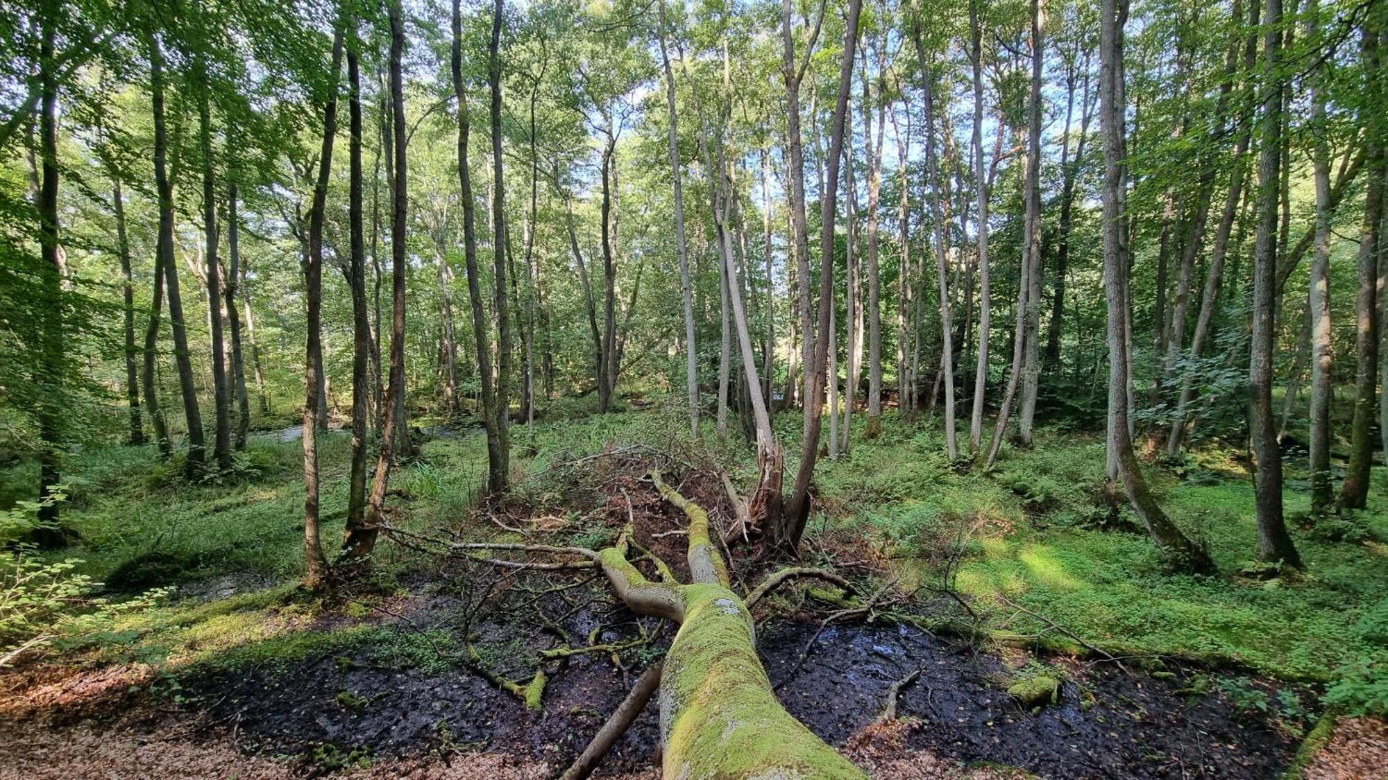 Domki Nad Morzem Lublewo21 Obok Bialogory Lublewo Leborskie Екстер'єр фото