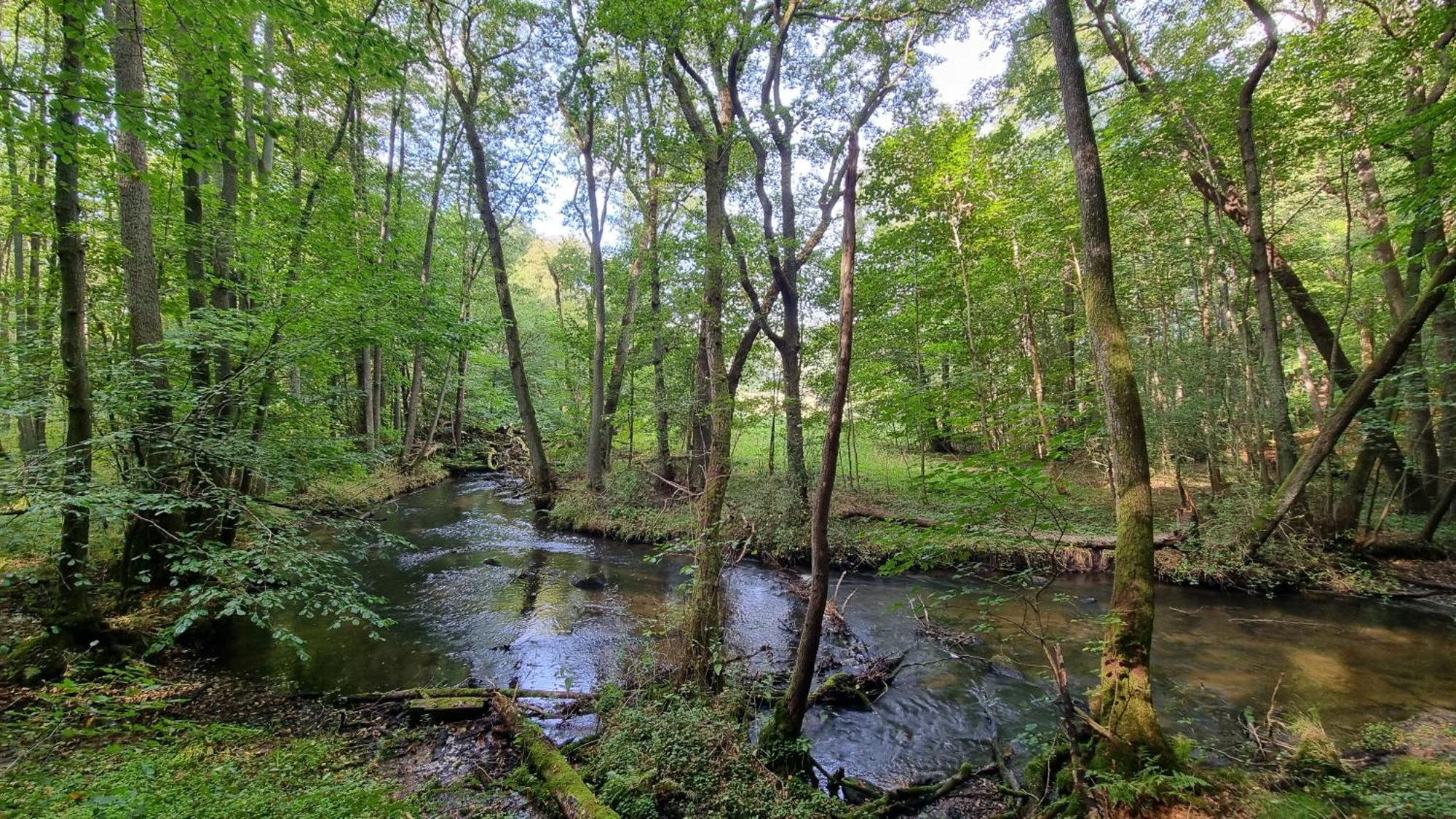Domki Nad Morzem Lublewo21 Obok Bialogory Lublewo Leborskie Екстер'єр фото